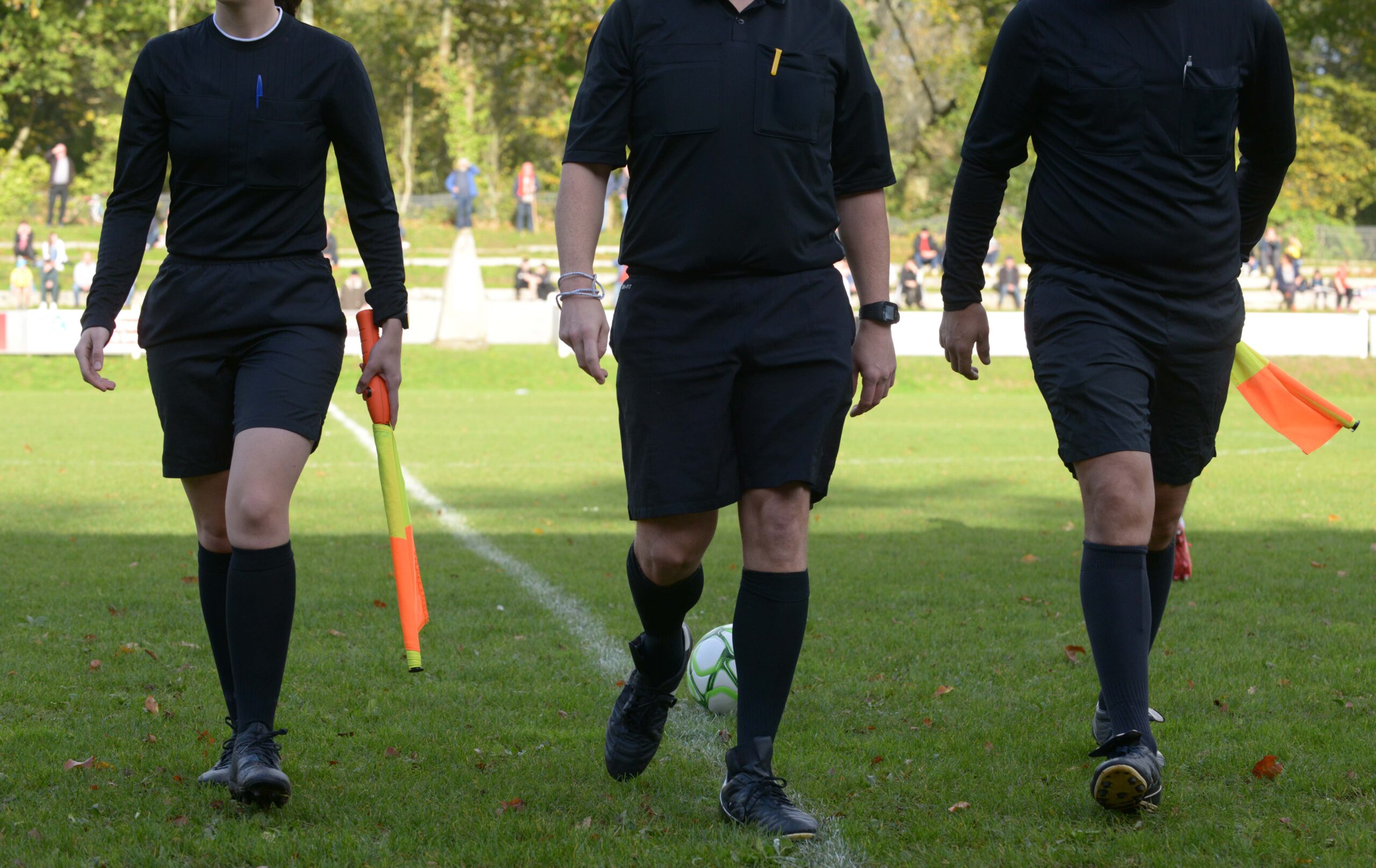 WalkSoccer Referees